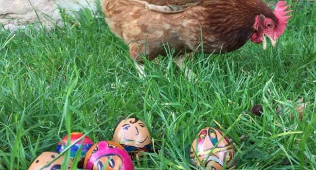 BUSQUEM ELS OUS DE PASQUA. TALLER