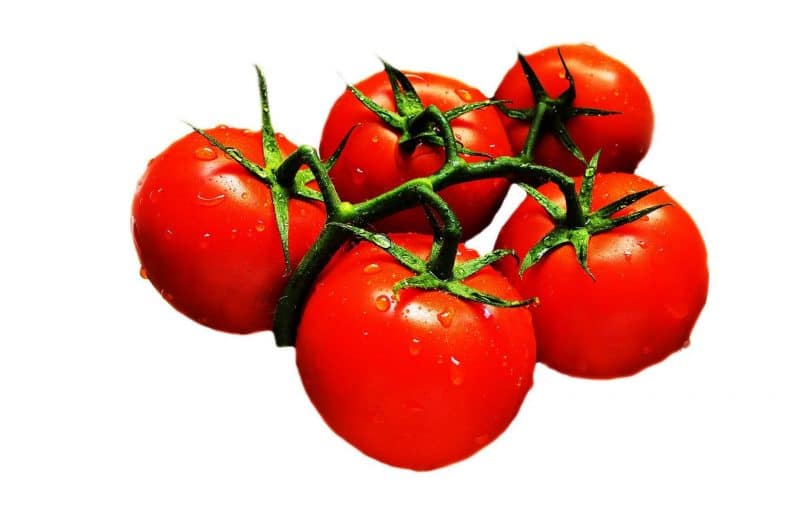 Tomates