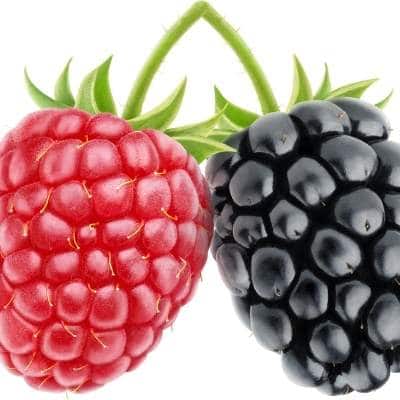 Beneficios moras  para la piel