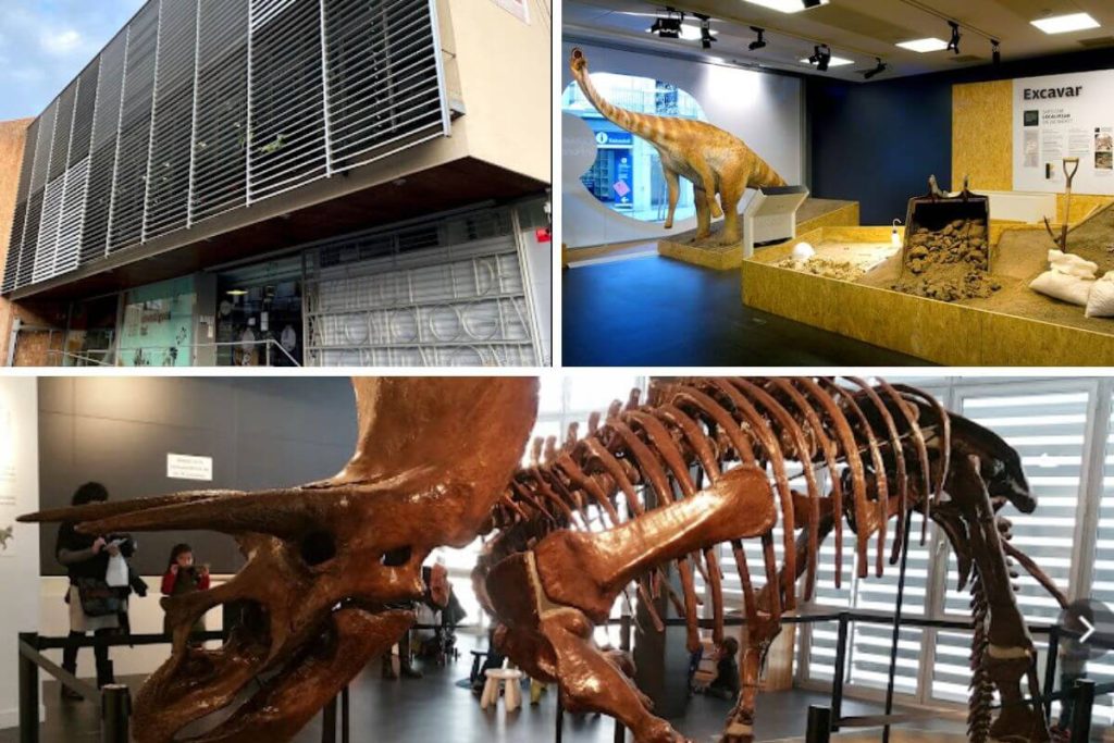 Museo del Instituto Catalán de Paleontología Miguel Crusafont