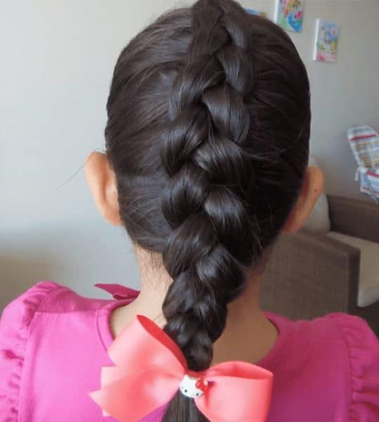 Trenza francesa