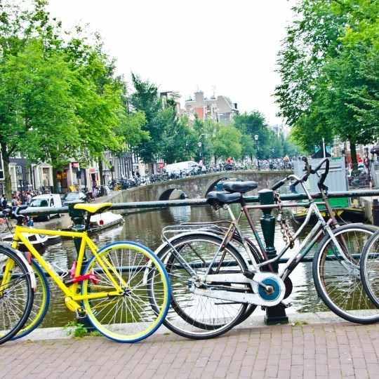 bicicleta guardabarros